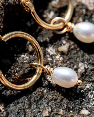 CLASSIC PEARL HOOPS GOLD VERMEIL - BONDI JEWELS