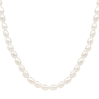 CLASSIC PEARL NECKLACE GOLD FILLED - BONDI JEWELS