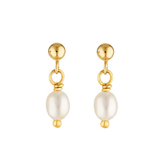 CLASSIC PEARL STUDS GOLD - BONDI JEWELS
