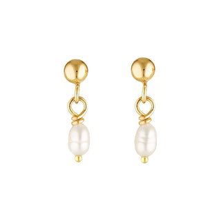 FINE PEARL STUDS GOLD FILLED - BONDI JEWELS